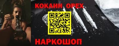 сатива Коммунар