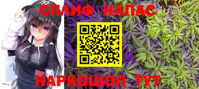 индика Конаково