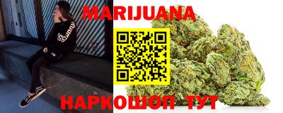 сатива Коммунар