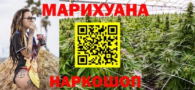 сатива Коммунар