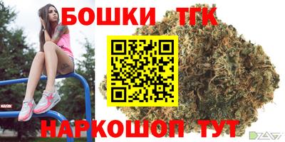 индика Конаково